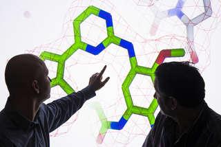 英国科学家正在讨论<a href='http://cpa.cn758.net'>澳门葡京赌博游戏</a>开发的一种化合物